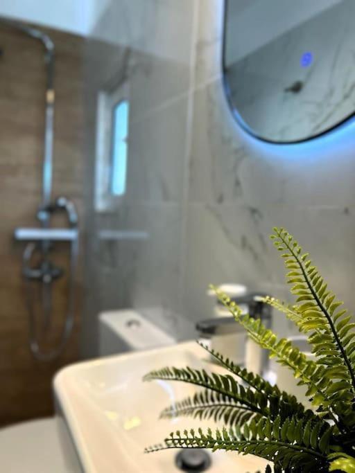 アテネExquisite Penthouse With Breathtaking Acropolis Panorama Viewアパートメント エクステリア 写真
