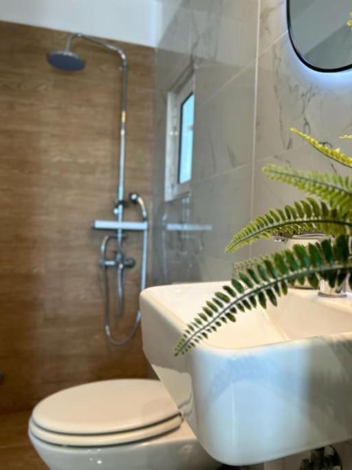 アテネExquisite Penthouse With Breathtaking Acropolis Panorama Viewアパートメント エクステリア 写真