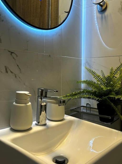 アテネExquisite Penthouse With Breathtaking Acropolis Panorama Viewアパートメント エクステリア 写真
